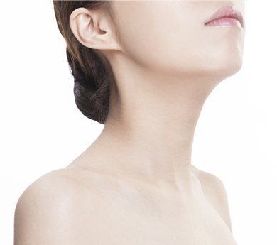 흰 바탕, 여성 모델의 턱선·목·어깨